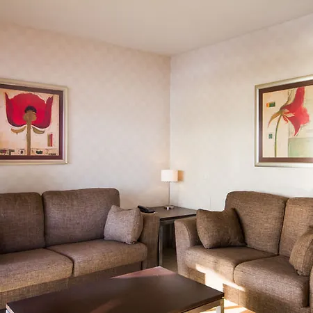 Palmeras Affiliated By Fergus