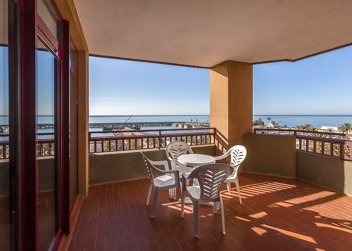 Palmeras Affiliated By Fergus