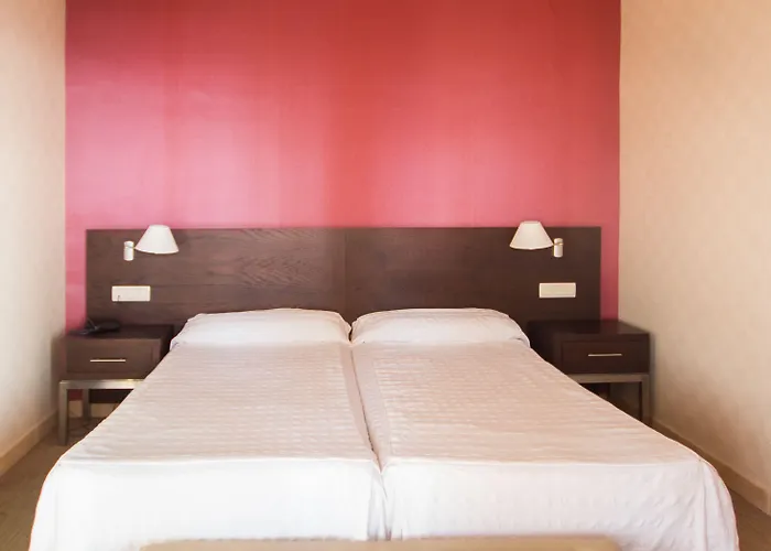 Palmeras Affiliated By Fergus Fuengirola