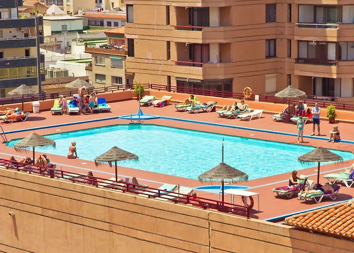 Palmeras Affiliated By Fergus Fuengirola