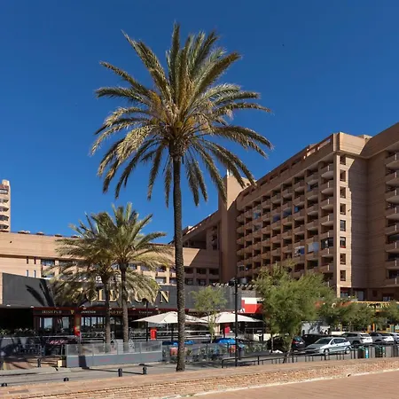 Palmeras Affiliated By Fergus