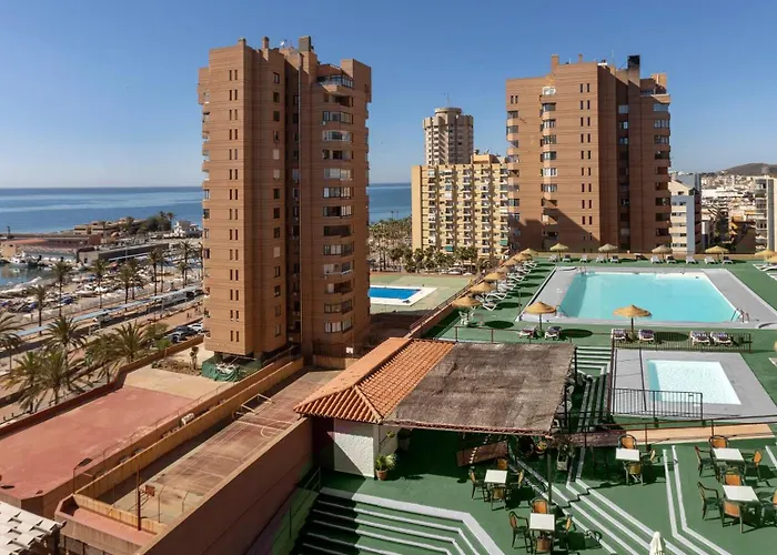 Palmeras Affiliated By Fergus