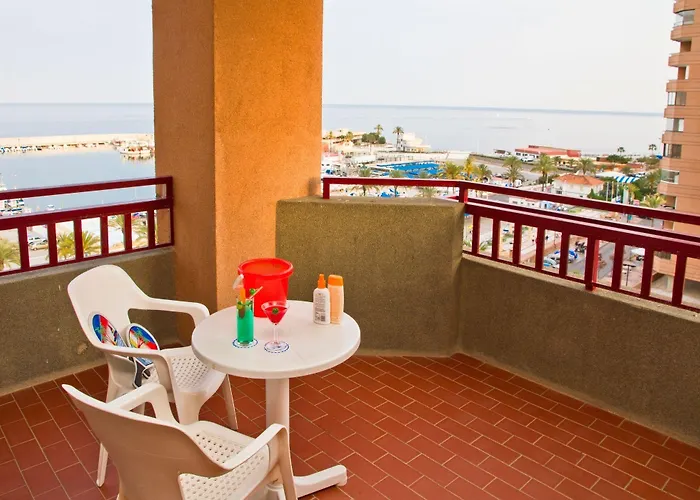 Palmeras Affiliated By Fergus