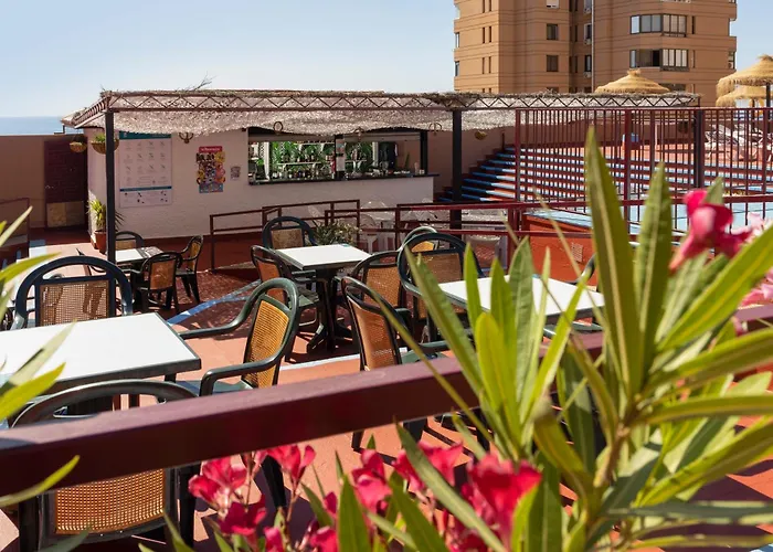 Palmeras Affiliated By Fergus