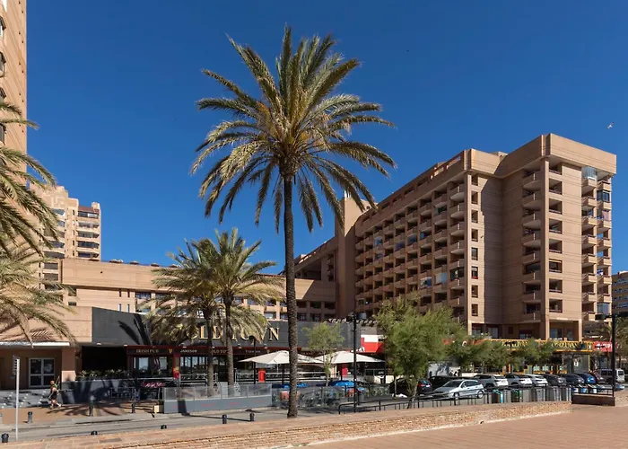 Palmeras Affiliated By Fergus