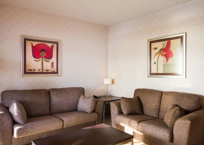 Palmeras Affiliated By Fergus