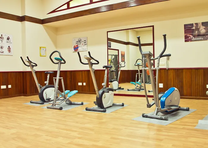 Palmeras Affiliated By Fergus