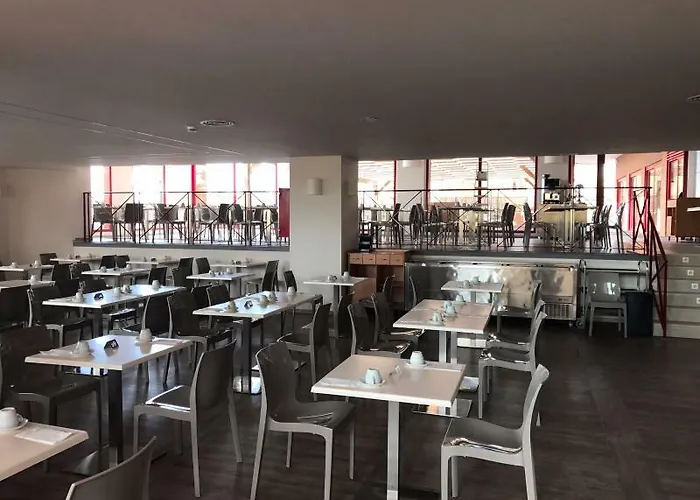 Palmeras Affiliated By Fergus