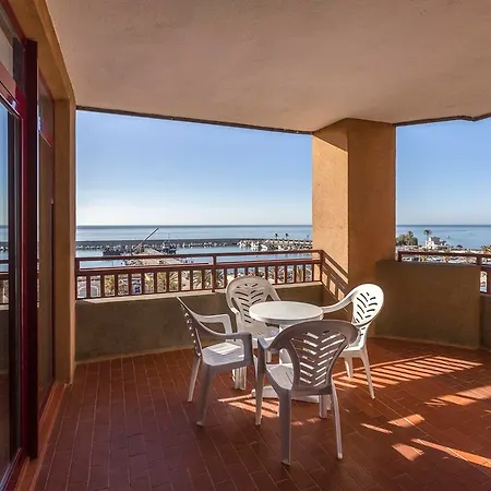 Palmeras Affiliated By Fergus