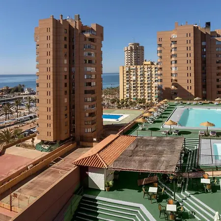 Palmeras Affiliated By Fergus