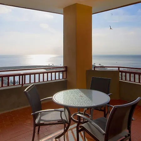 Palmeras Affiliated By Fergus