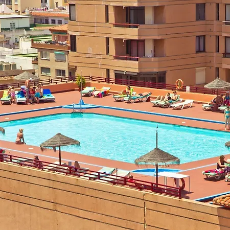 Palmeras Affiliated By Fergus Fuengirola