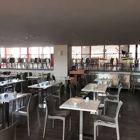 Palmeras Affiliated By Fergus